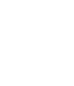 vicejsa